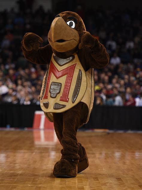Ncaa Tournament Mascots In Action