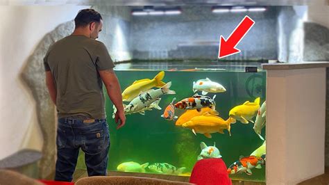 Incredible Indoor Koi Pond Diy Pobse