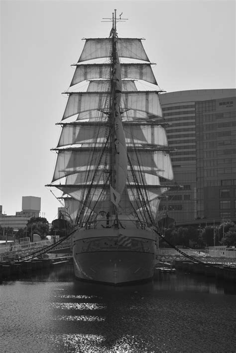 Sailing Shipback View By Hamahito （id：12127482） 写真共有サイトphotohito