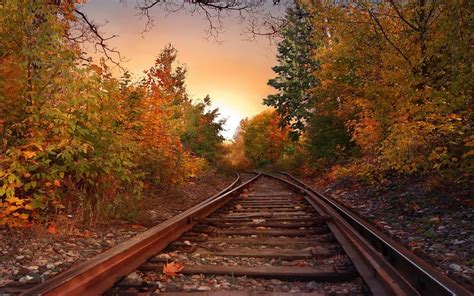 Landscapes Nature Trees Autumn Skylines Railroad Tracks Wallpaper