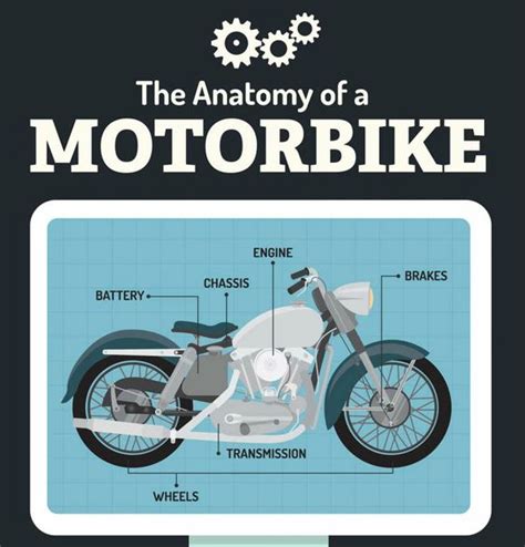 Anatomy Of A Motorbike