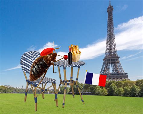 The Most Biting Memes Of The Paris Bedbug Panic