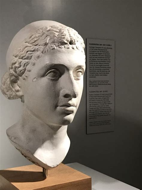 Cleopatra Bust Statue 20