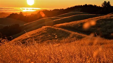 1134191 Sunlight Landscape Sunset Hill Nature Grass Sky Field