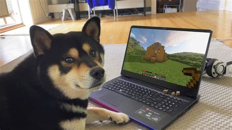 Doge Be Gaming Youtube
