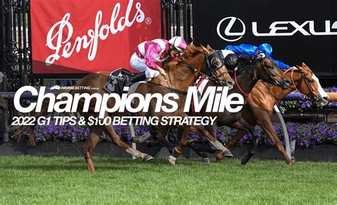 2022 Champions Mile Tips, Odds & Best Bets | Saturday, November 5