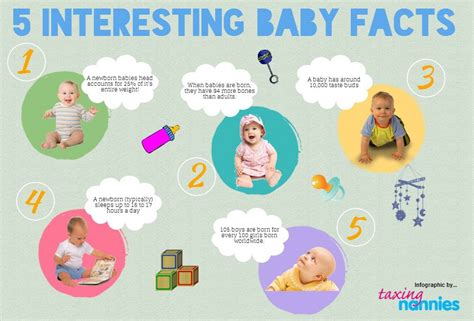 5 Interesting Baby Facts Infographics — Baby Facts