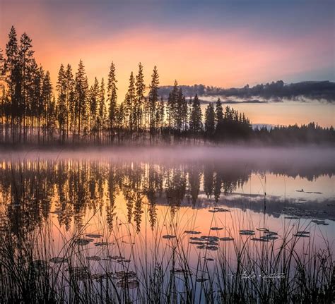 Discovering Finland On Twitter Some Wonderfully Moody Autumn