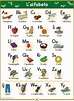 Italian Alphabet Poster | Italian language, Language and Learning italian