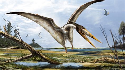 New Giant Flying Reptile Found Hunted On Foot