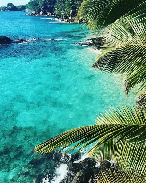Tropical Aesthetic Summer Vibes Hawaii Wanderlust Summer Tumblr