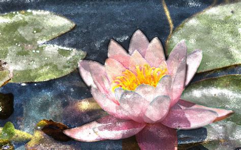 Watercolor Lilies Water Lily Watercolor Effect Handpainted Garden