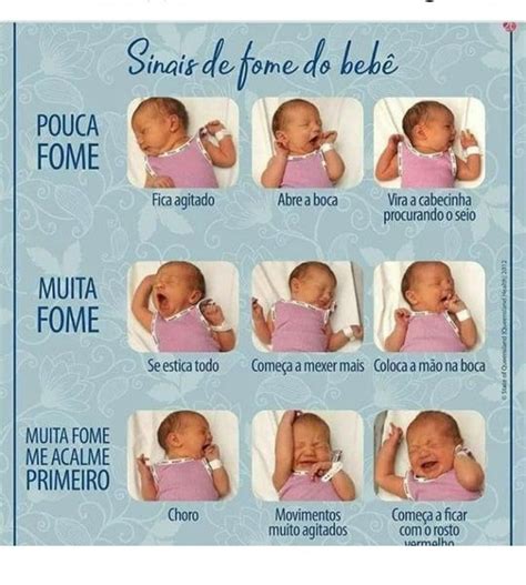 Pin De Papinhas Para Bebês Em Papinhas De Bebe Dicas De Amamentação