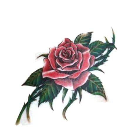 Transparent Background Small Rose Tattoo Png Tattoo D