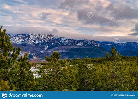 Winter Landscape With Pine Trees In The Foreground And Mountains In The
