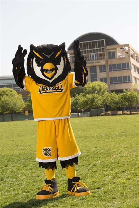 15 Best College Mascots Atlantic Sun Images On Pinterest Colleges