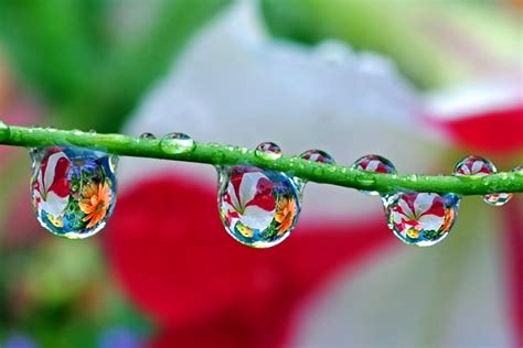 31 Beautiful Water Droplets