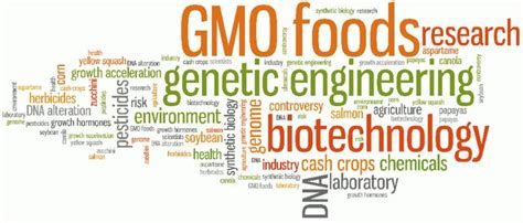 Fda Issues Final Guidance On “gmo Free” “not Bioengineered” Claims