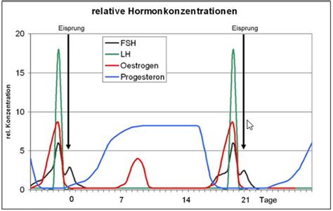 Das gilt besonders bei einem aktuellen kinderwunsch. 44 Best Pictures Lh Anstieg Wann Eisprung / Ovulationstest ...