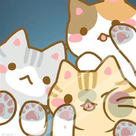 Kawaii Shop Kawaii Cat Anime Cat Cat Wallpaper