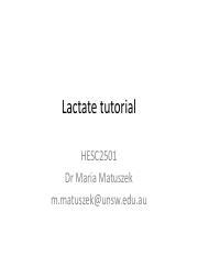 Lactate Tutorial Slides For Students Pdf Lactate Tutorial Hesc Dr