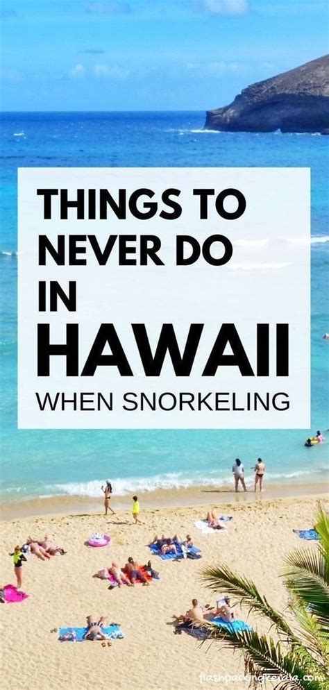 Snorkeling In Hawaii For First Time 🐠 Know Before You Go 🐠 Maui Kauai