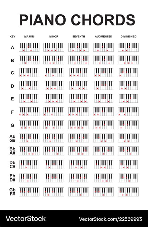 Piano Chords Or Key Notes Chart On White Vector Image
