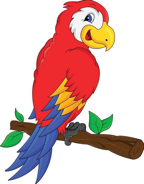 Parrot Cartoon Cartoon Birds Cartoon Animals