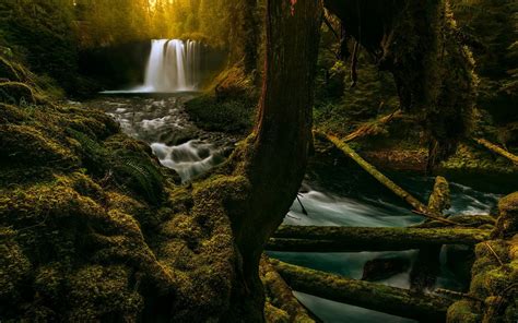 2048x1365 Nature Landscape Waterfall Bridge Trees Forest Water Moss
