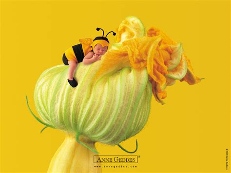 Anne Geddes Babies Images With Flowers Oh My Baby