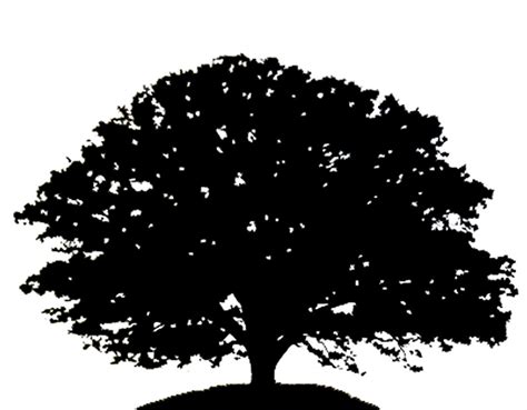Tree Silhouette Black Clipart 20 Free Cliparts Download Images On