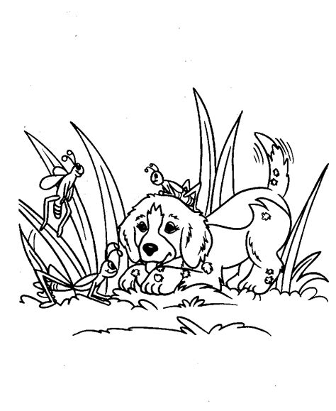 Dog walking on a leash five dogs in a funny dog coloring page Dog Coloring Pages