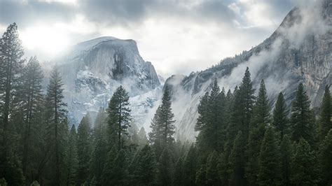 Yosemite National Park Nature Mountain Trees Mist Wallpapers Hd