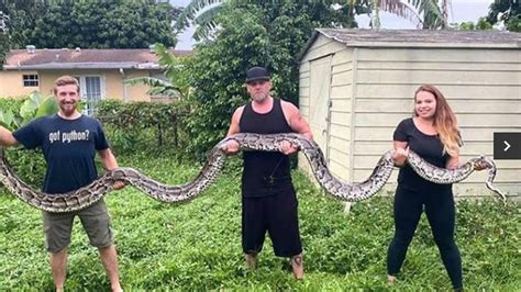 World Longest Snake