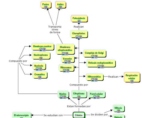 Mydiary Estructura Del Computador Mapa Conceptual