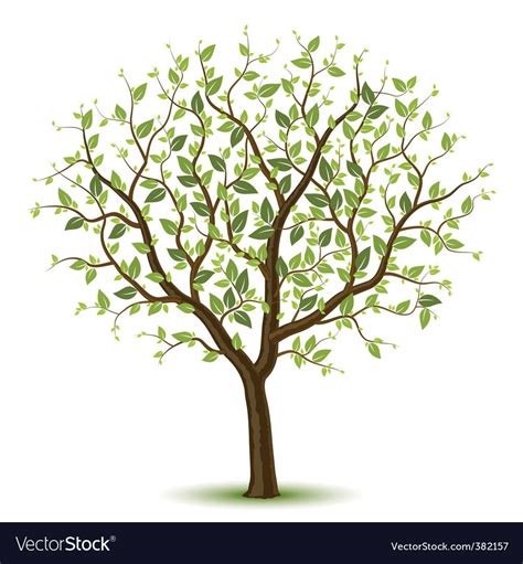 Spring Tree Download A Free Preview Or High Quality Adobe Illustrator