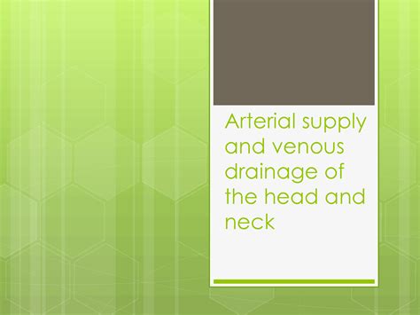 Solution 3 Arterial Nerve Supply Venous Drainage Of Hn Studypool