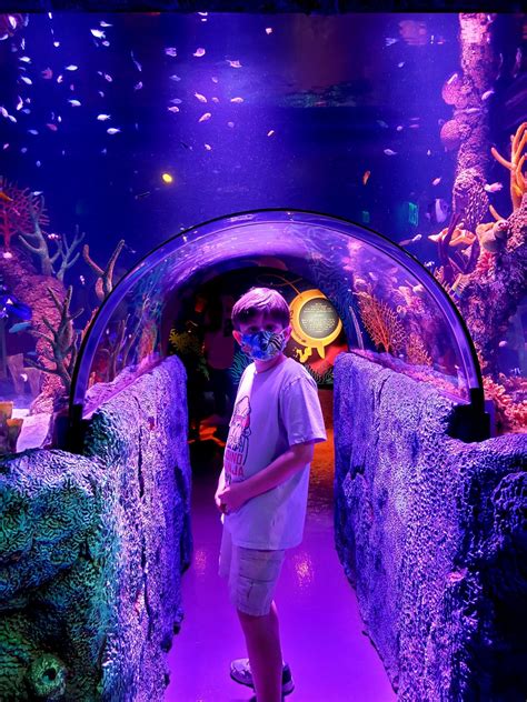 Have A Tunnel Of Fun At Sea Life San Antonio Aquarium