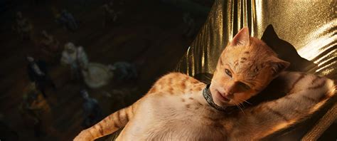 Drama, fantasia ano de lançamento: 'Cats' não agrada a crítica americana e é chamado de "pior ...