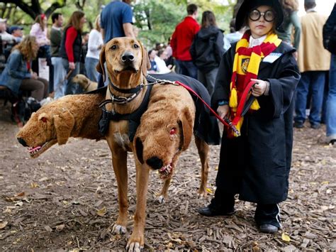 25 Matching Dog And Human Halloween Costumes You Have To Try
