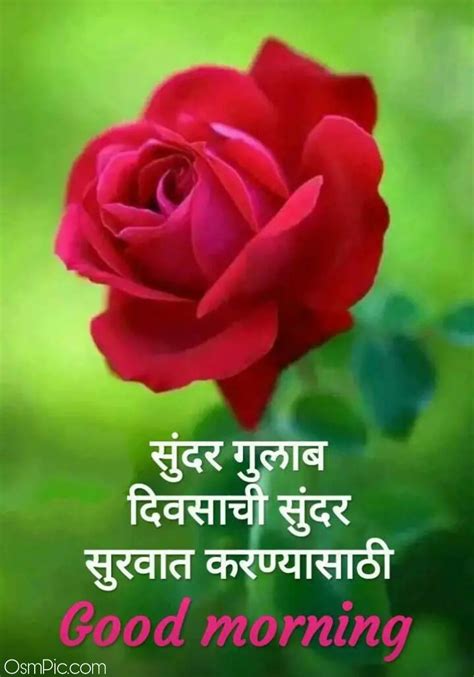 Good morning quotes, shayari, status, messages, wishes, greetings, in hindi with best and free images for your family, friends, love, bf, gf, the boss in our website which you will like our collection of suprabhat in hindi, suprabhat messages, suprabhat messages in hindi, suprabhat mangalwar. Latest Good Morning Marathi Images Quotes Status Msgs For ...