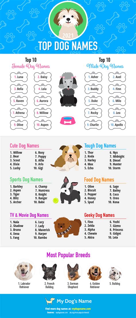 100 Top Dog Names Of 2022 Ranked By Category