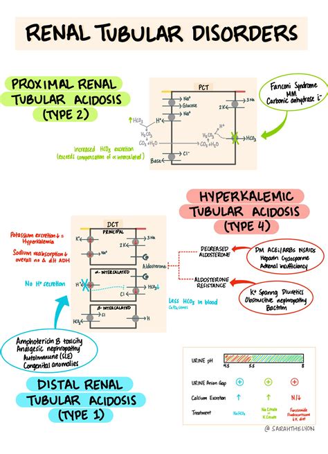 Renal Tubular Disorders Distal Renal Tubular GrepMed