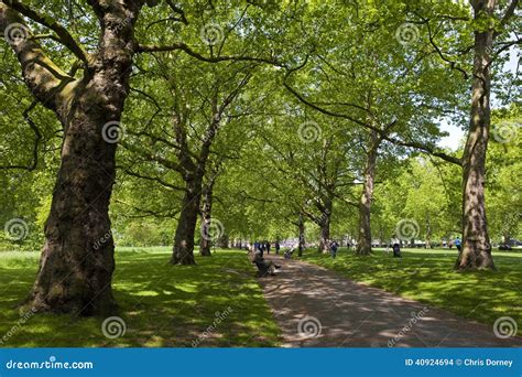 Green Park In London Editorial Stock Image Image Of Pathway 40924694