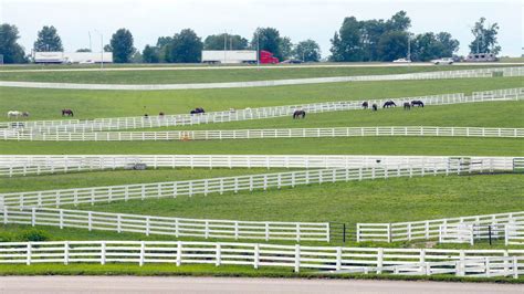 Kentucky Horse Park To Paint Fences Black Lexington Herald Leader