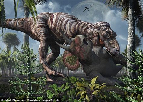 Dinosauriomanía Lo Que Querías Saber De Los Dinosaurios Top Especial Mes Del T Rex Cosas
