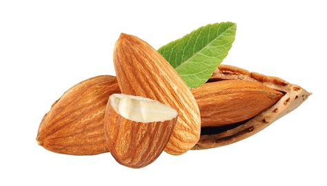 Almond Nuts Transparent Png All Png All