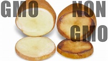GMO Potatoes Gain USDA Approval – Eat Drink Better