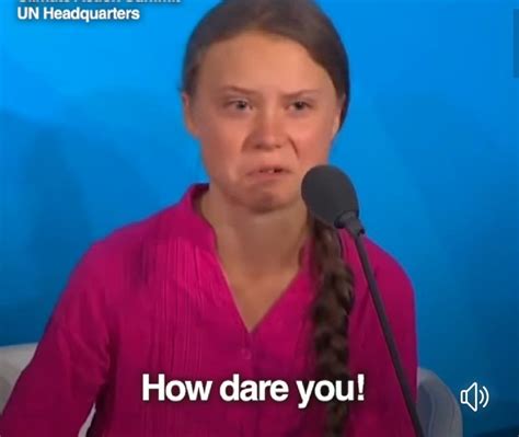 How Dare You Greta Thunberg Reaction Face Memes Funny Dialogues