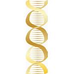 Dna Gold Icon Clipart Circle Transparent Angle